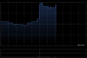 PICO FAR EAST发布年度业绩 股东应占溢利4.36亿港元同比增加21.9%
