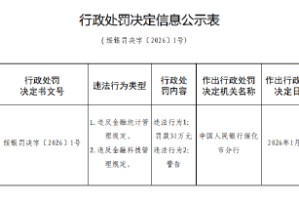 肇东市农村信用合作联社被罚31万元：违反金融统计管理规定等