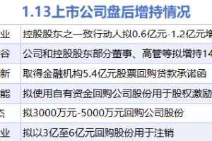 1月13日增减持汇总：中炬高新等6股增持 中新集团等12股减持（表）