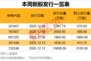 杠杆资金爆买新股！控盘近一成筹码