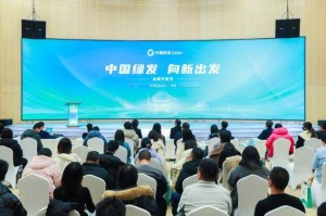 中国绿发，新能源产业增长近10倍