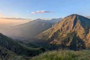 国寿合并营收1.3万亿、人保保费7300亿，四大中管险企年度工作会说了什么？