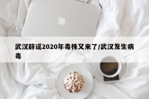 武汉辟谣2020年毒株又来了/武汉发生病毒