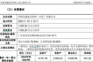 有研复材IPO，重要子公司的少数股东是一位个人，还显得挺神秘