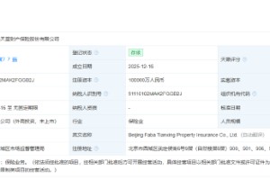 法巴天星财险正式登记成立，注册资本10亿