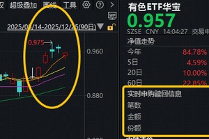 回调原因或已找到！有色ETF华宝（159876）获净申购2160万份，机构：美联储降息通道下，有色还有上涨动力！