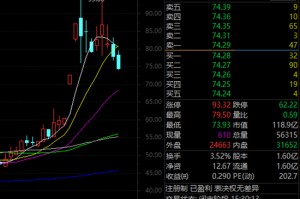 太空光伏+存储芯片+卫星通信，300842，一周暴涨超43%！