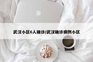 武汉小区6人确诊/武汉确诊病例小区