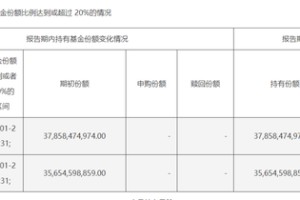 中央汇金，最新动向