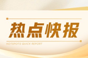 TCL电子：2025盈喜，经调整归母净利润预增45%-60%